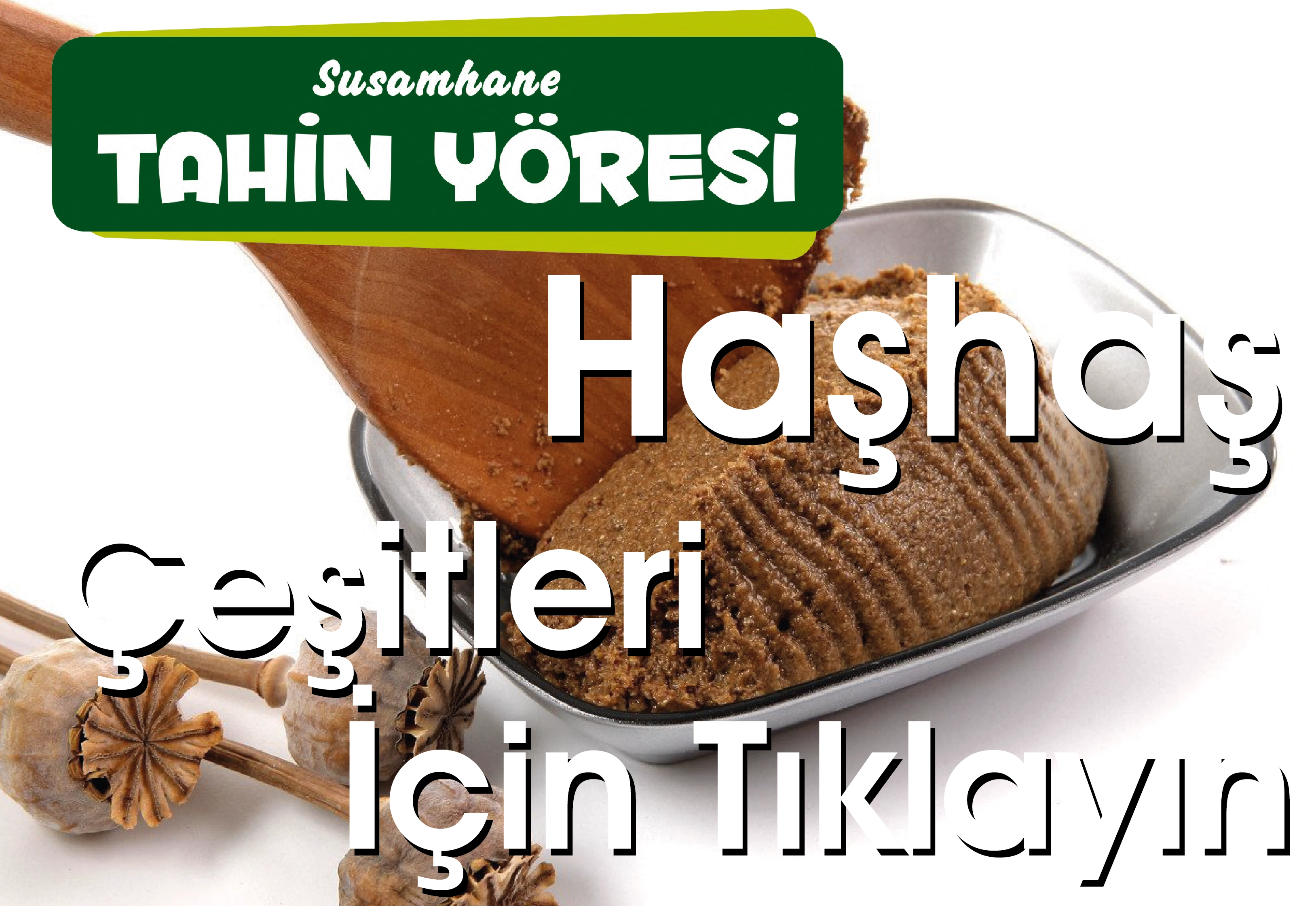 Haşhaş